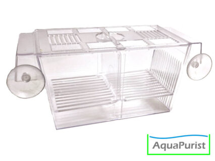 Ablaichbox Einhängekasten happet Plastik