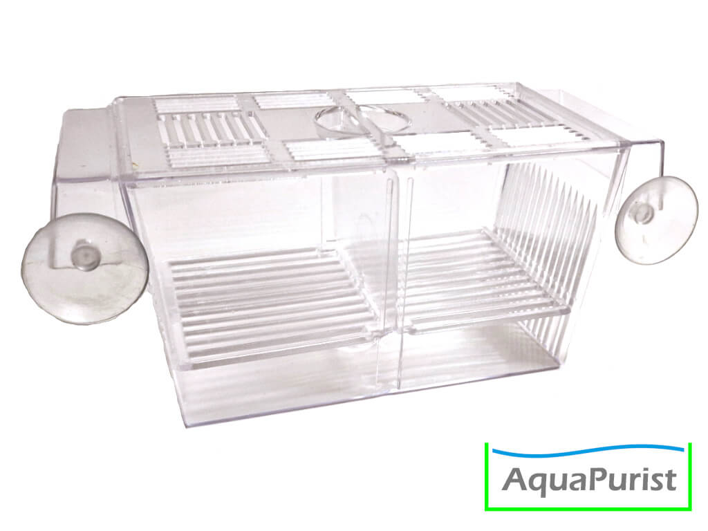 Ablaichbox Einhängekasten happet Plastik