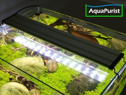 Aqua LED Lampe 30 cm (verstellbar), 6W