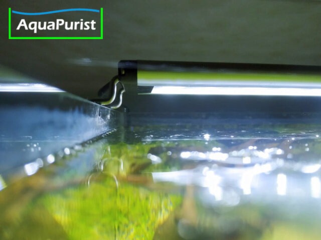 LED-Aufsetzleuchte am Rand eines Aquariums