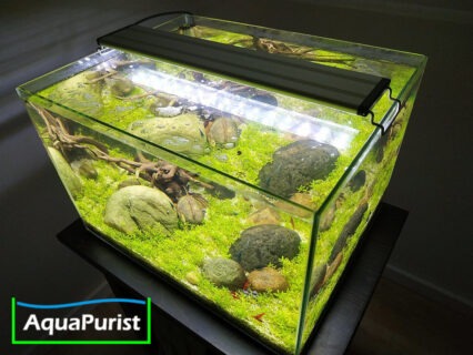 Aqua LED Lampe 40 cm (verstellbar), 11W