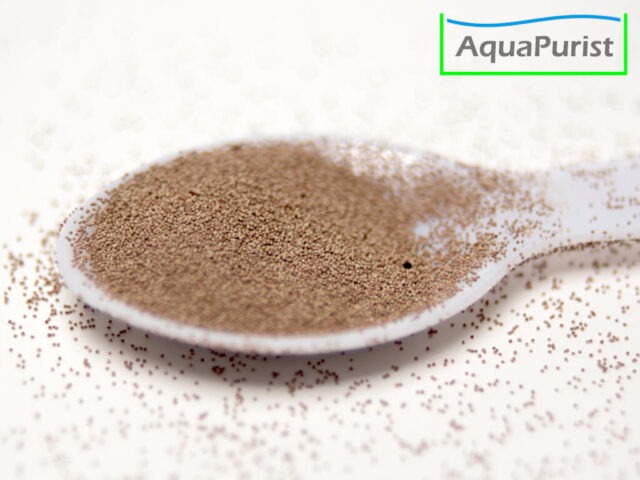 Artemia Golden Sea fürs Schlüpfen