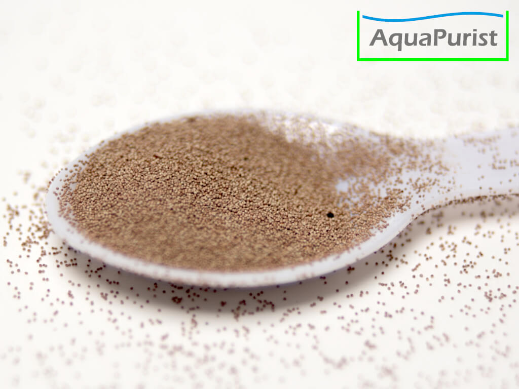 Artemia Golden Sea fürs Schlüpfen