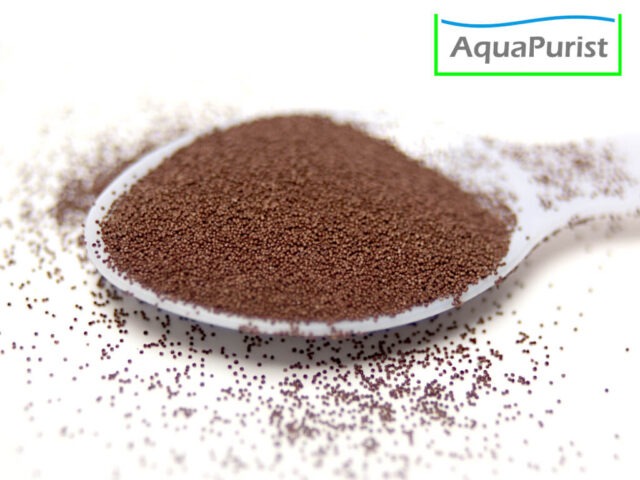 Artemia Tibet fürs Schlüpfen