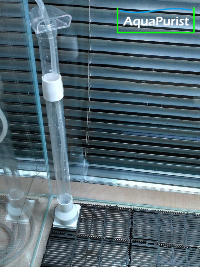 Steigrohr eines Bodenfilters im Aquarium