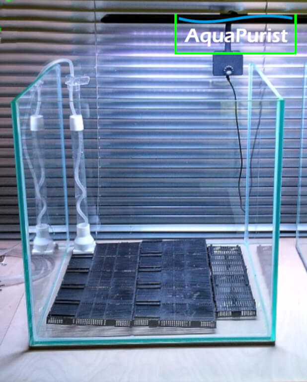 Bodenfilterplatten mit Steigrohr in einem leeren Aquarium