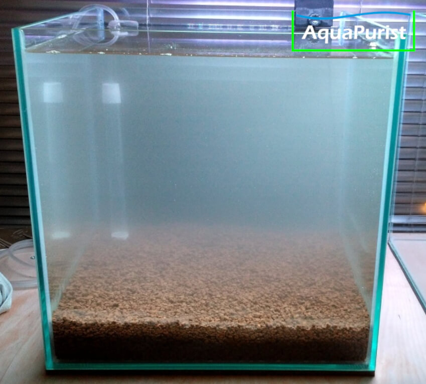 Frisch befülltes Aquarium mit Bodenfilter und trübem Wasser