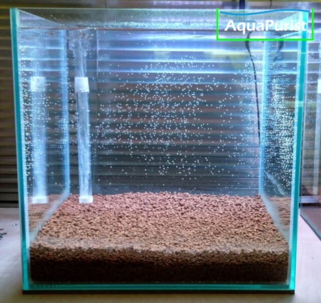 Aquarium mit Bodenfilter nach dem Befüllen