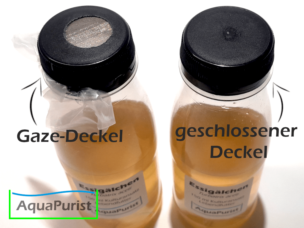 Essigälchen Weithalsflasche Deckel Variante Gaze