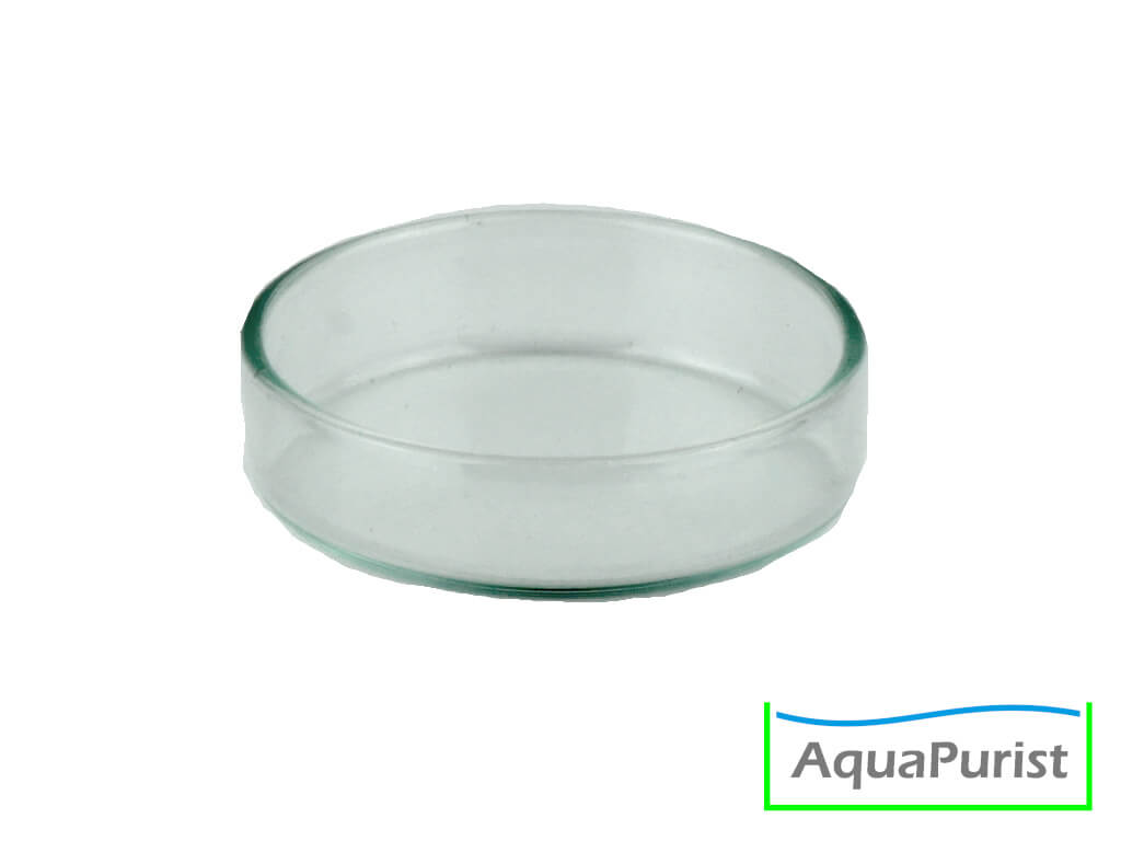 Runde transparente Futterschale aus Glas
