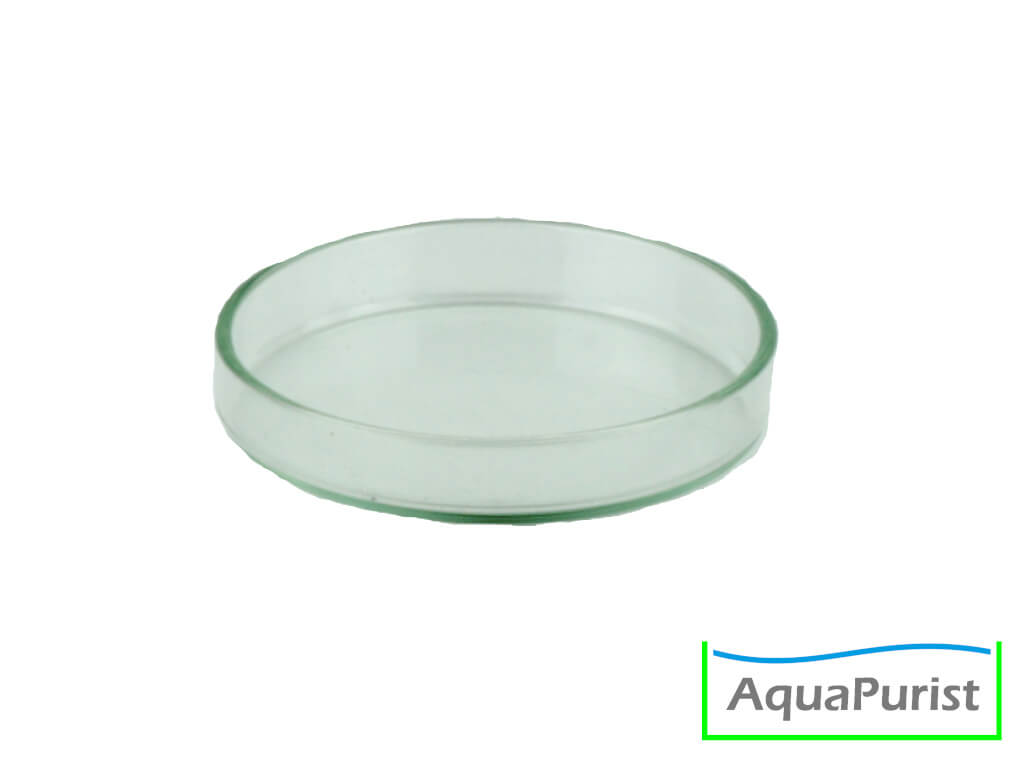 Runde transparente Futterschale aus Glas