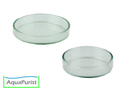 Futterschale aus Glas, 1 Stk.