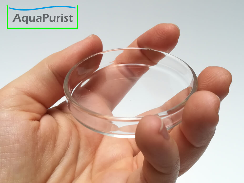 Glas-Futterschale auf einer Hand als Größenvergleich