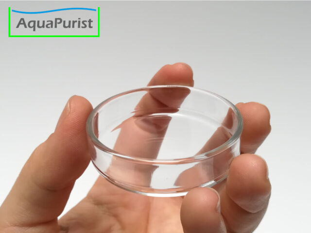 Glas-Futterschale auf einer Hand als Größenvergleich