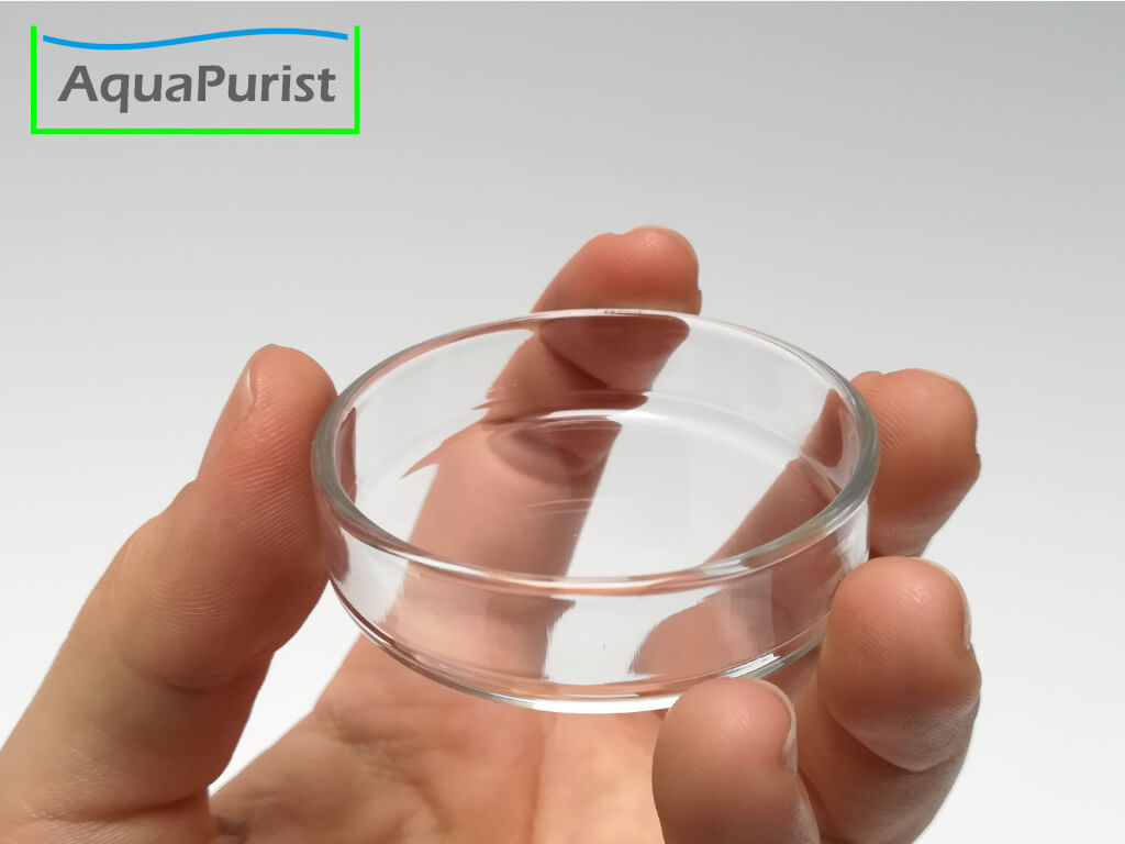 Glas-Futterschale auf einer Hand als Größenvergleich