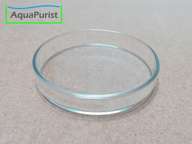 Runde transparente Futterschale aus Glas
