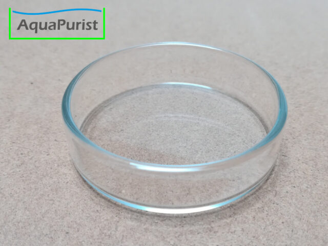 Runde transparente Futterschale aus Glas
