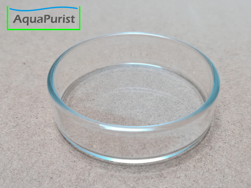 Runde transparente Futterschale aus Glas