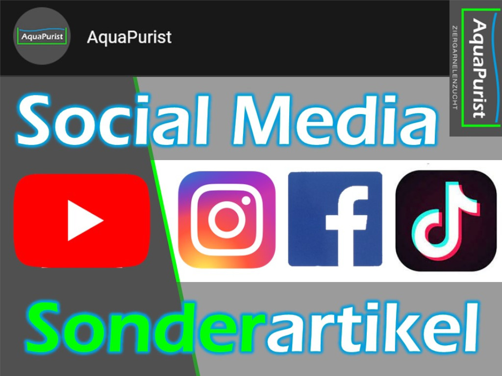 Social Media Sonderartikel