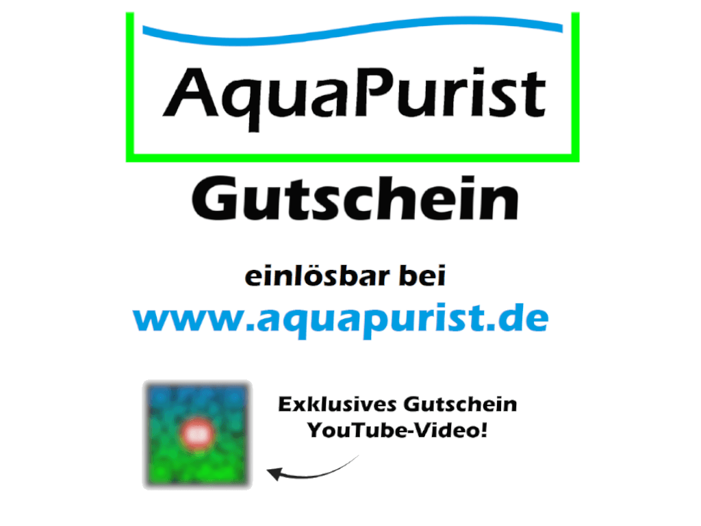 Gutschein-25E-Bild