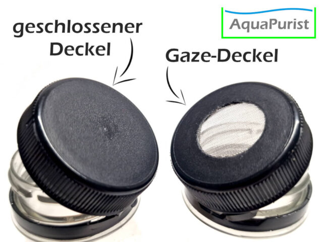 Essigälchen Weithalsflasche Deckel Variante Gaze