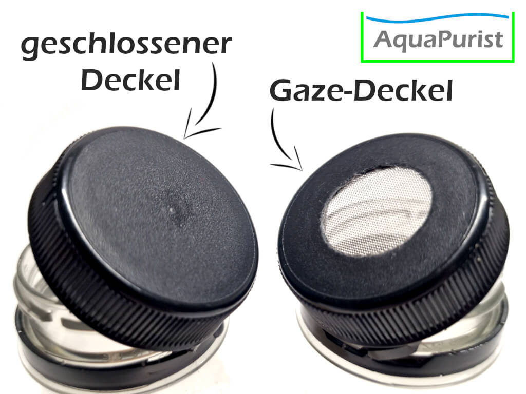 Essigälchen Weithalsflasche Deckel Variante Gaze
