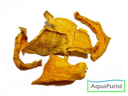 Hokkaido Kürbis Chips getrocknet