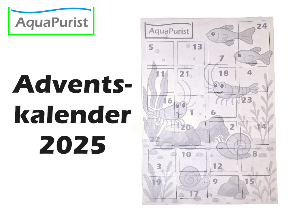 Adventskalender 2025 1