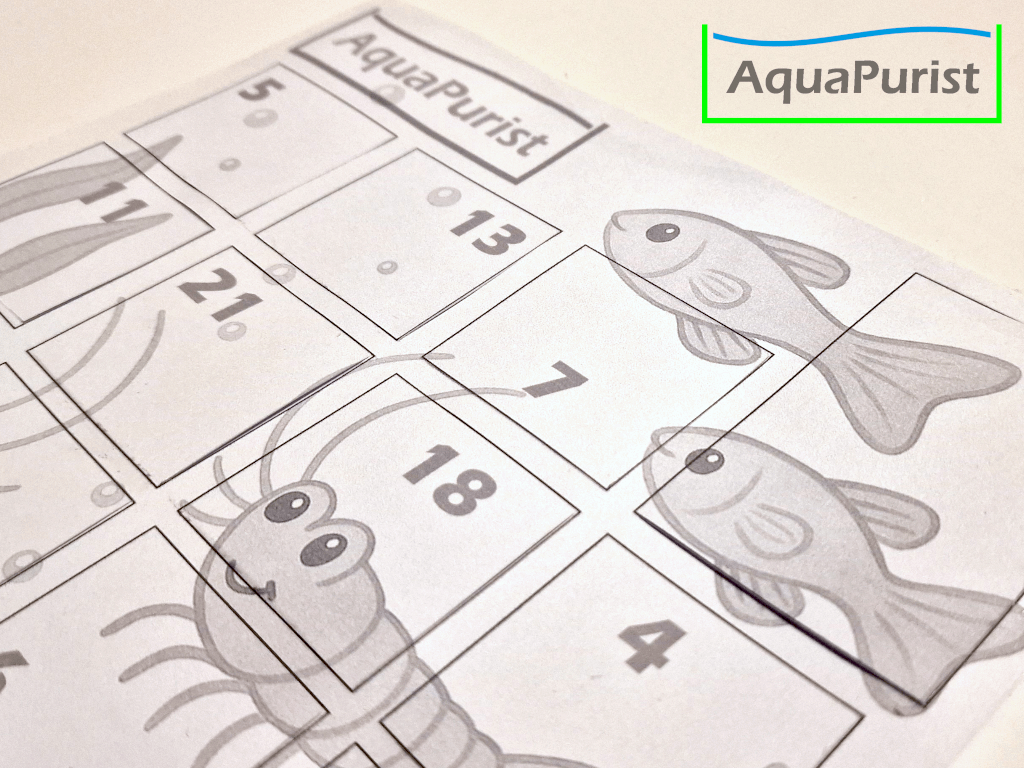 Adventskalender 2025 2