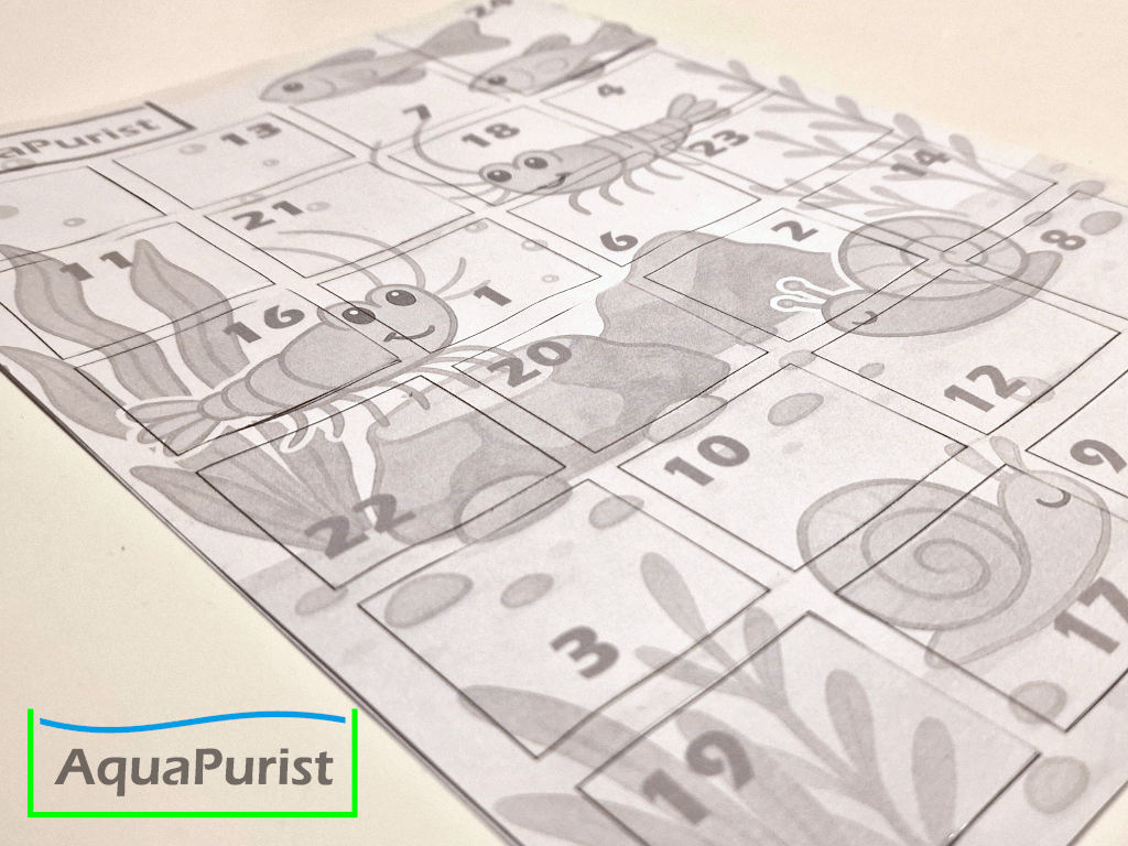 Adventskalender 2025 3