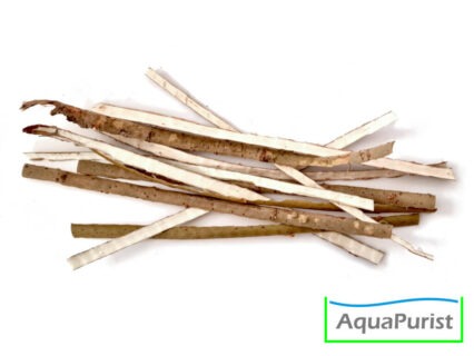 Weiden Rinde (Salix spp.)