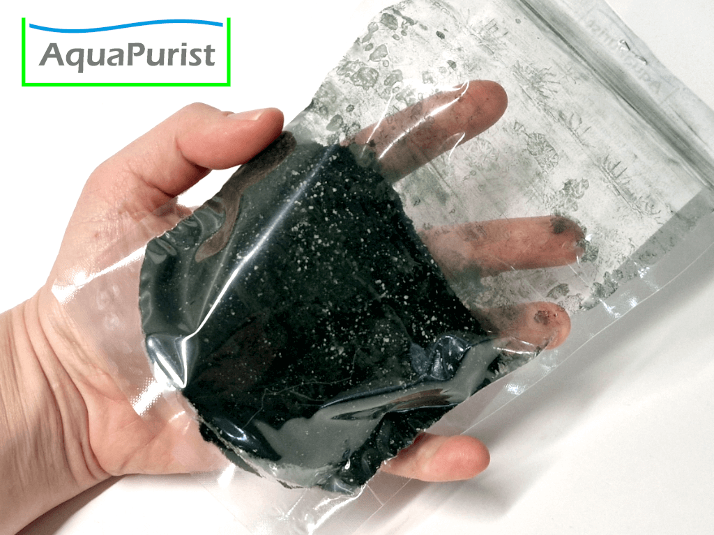 Moina Futter Spirulina