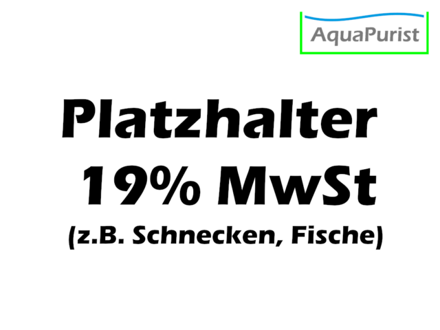 Platzhalter 19% MwSt