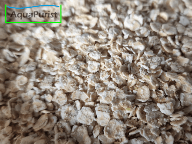 Panagrellus Kulturmedium 100 g Tüte Panagrellus Kulturmedium 100 g Tüte