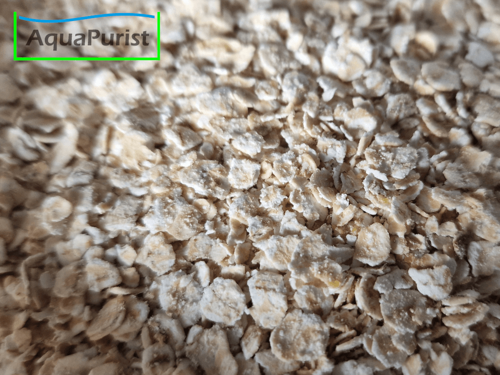 Panagrellus Kulturmedium 100 g Tüte Panagrellus Kulturmedium 100 g Tüte