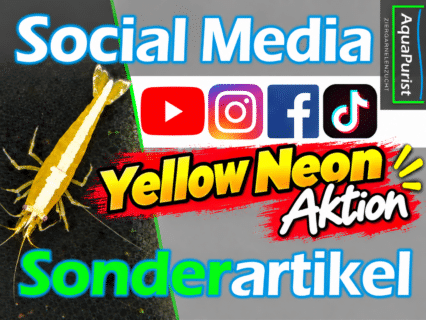 Social Media Sonderartikel - Yellow Neon